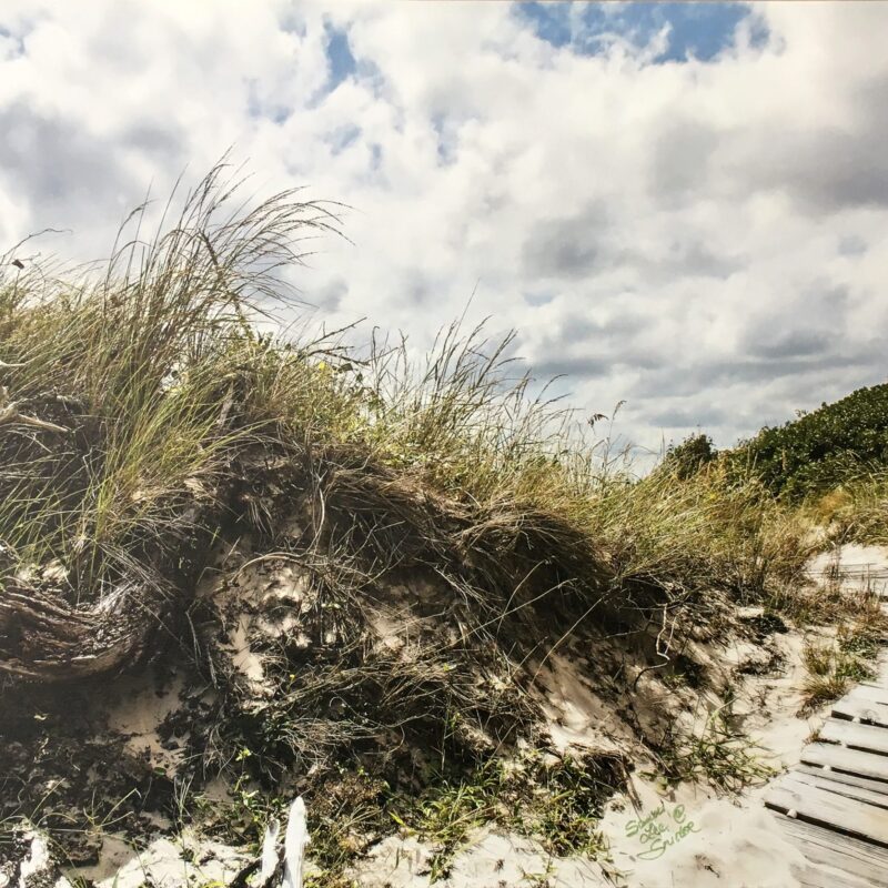 Sandbridge Pathway