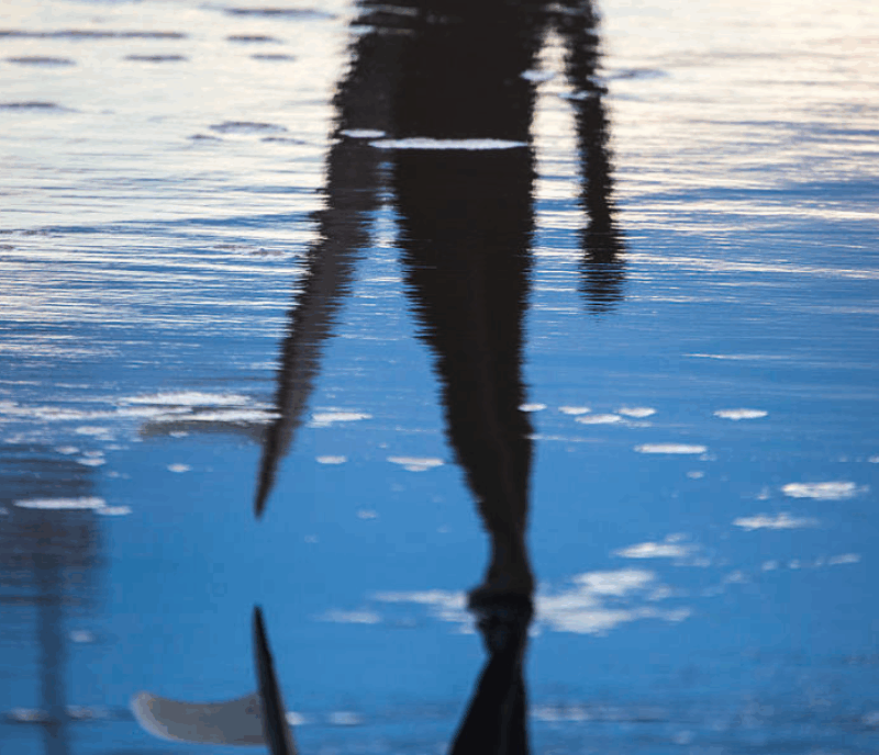 Blue on Black