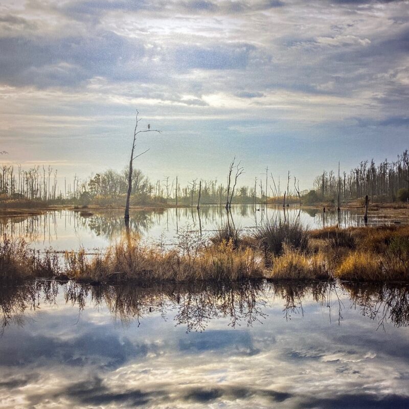 Morning at Mackay Island