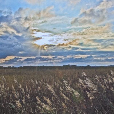 Tall grass sways beneath a dramatic sunset sky in “The Magic of the Marsh,” as sunrays pierce thick clouds and trees line the horizon.
