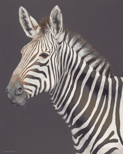 zebra portrait (2)