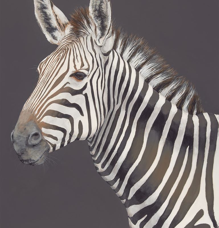 Zebra Portrait