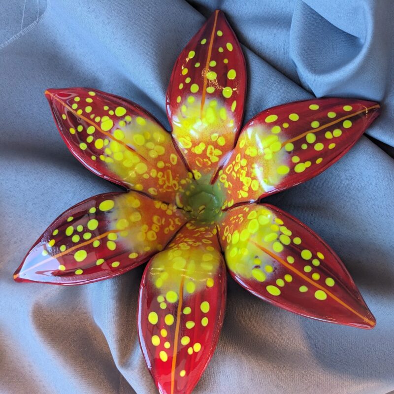 Large Red and Yellow Garden Lily