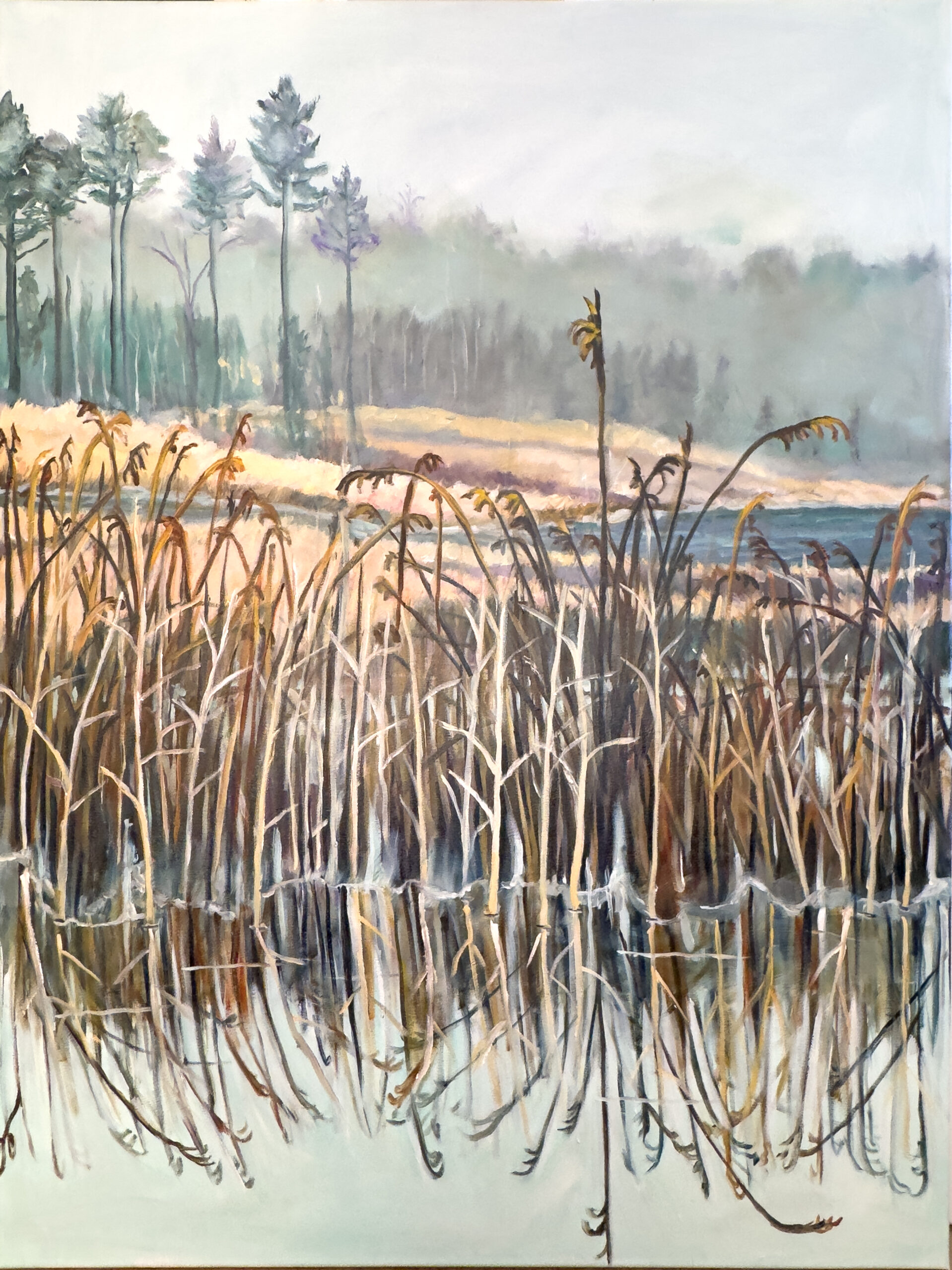 Frosty Morning on the Marsh