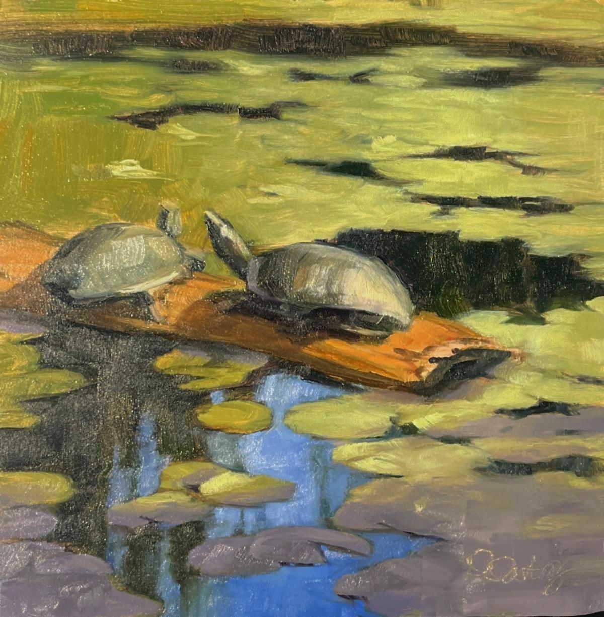 Sunning Turtles